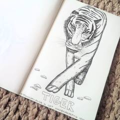 #Spoonchalange 14 Cat tiger drawing