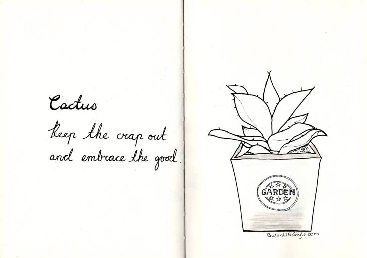 Cactus drawing. 